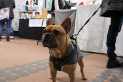 Clausmarkt.2024.0109