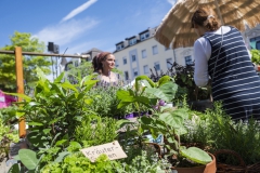 Greta_Markt_11.06.2022_00066