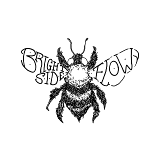 logo.brightside.flow.2