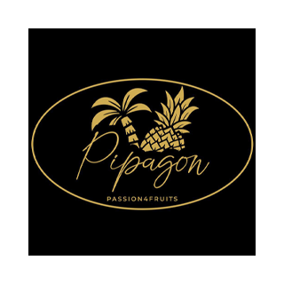 Pipagon_Logo.